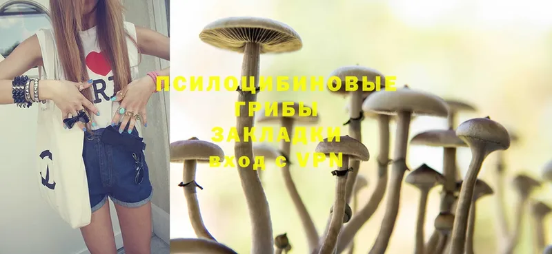 магазин    Новокубанск  Галлюциногенные грибы MAGIC MUSHROOMS 